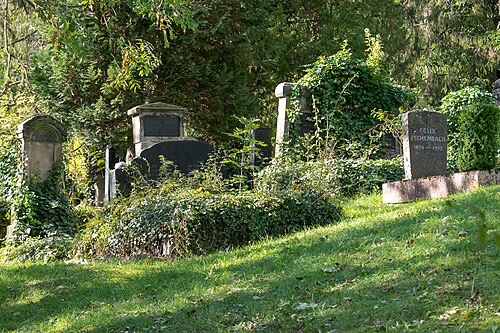 Bild 1 1