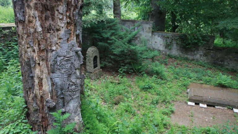 Bild 2 768x433